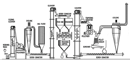 Cattle Feed Plant