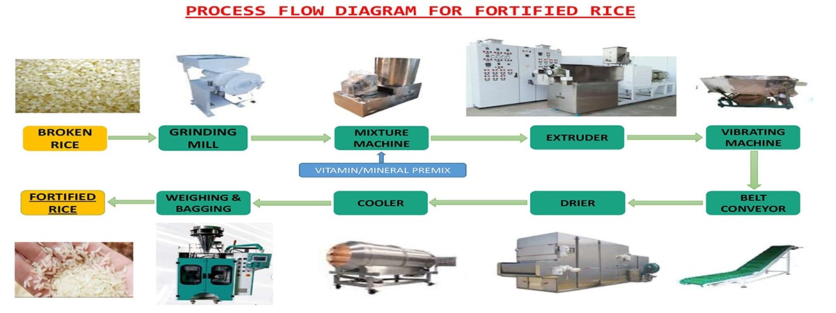 Fortified Rice Extruder